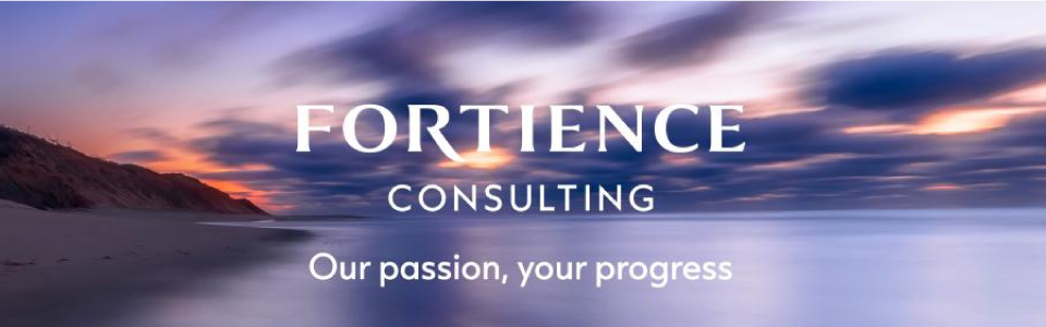FORTIENCE CONSULTING