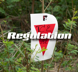 Regulation